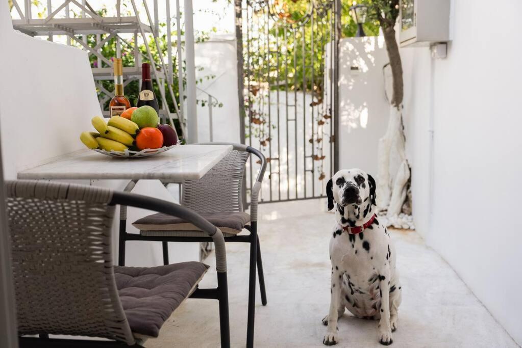 Villa Artemis Cycladic Charmed ! Афины Экстерьер фото